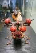 museum fur naturkunde berlin 5-2025 1373